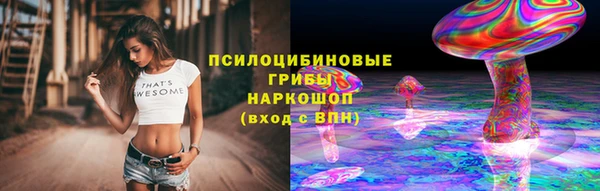 ГАЛЛЮЦИНОГЕННЫЕ ГРИБЫ Новодвинск