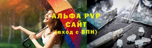 гидра Новозыбков
