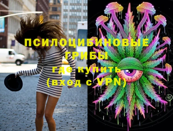 ГАЛЛЮЦИНОГЕННЫЕ ГРИБЫ Новодвинск