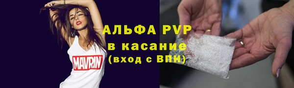 гидра Новозыбков