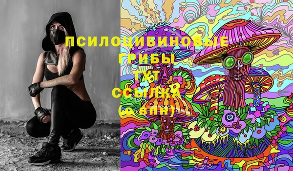 твердый Архангельск