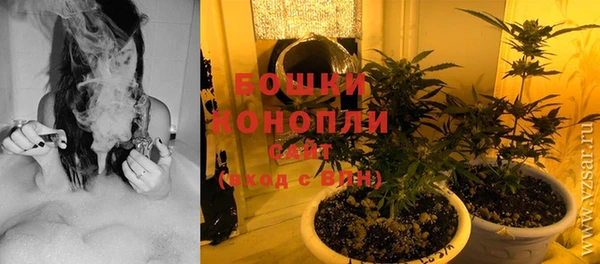 гидра Новозыбков