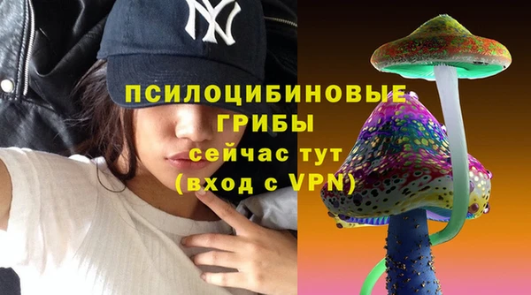 твердый Архангельск