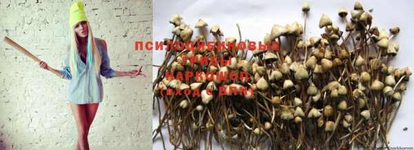 бутик Чита