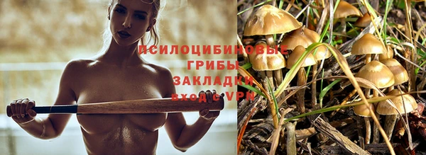гидра Новозыбков