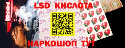 дмт Гай