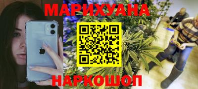 дмт Гай