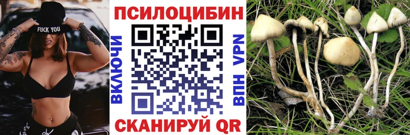 Псилоцибиновые грибы мицелий Кировск