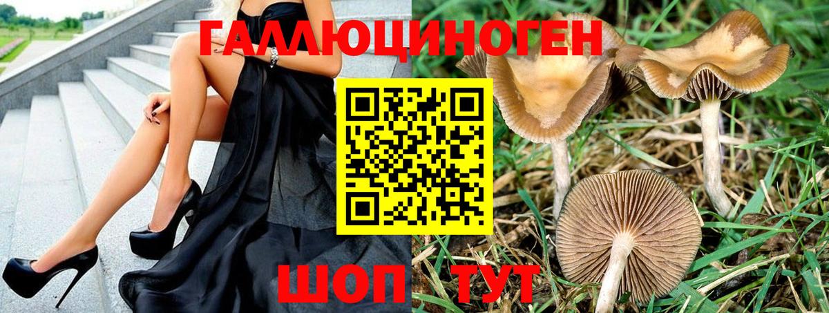 Кировск  Галлюциногенные грибы Psilocybe  как найти закладки  Псилоцибиновые грибы GOLDEN TEACHER  Вход с VPN 